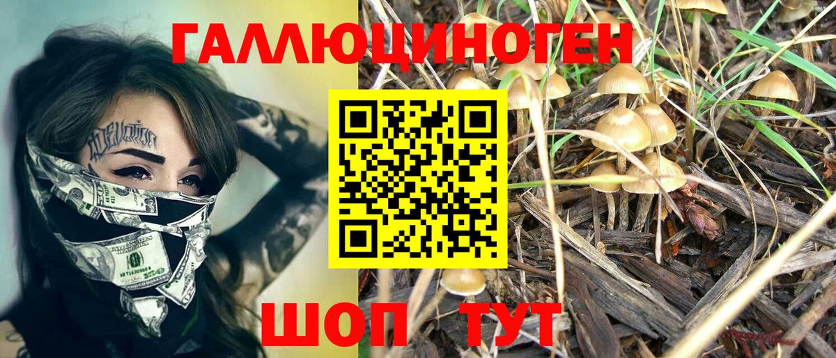 Псилоцибиновые грибы GOLDEN TEACHER Кулебаки