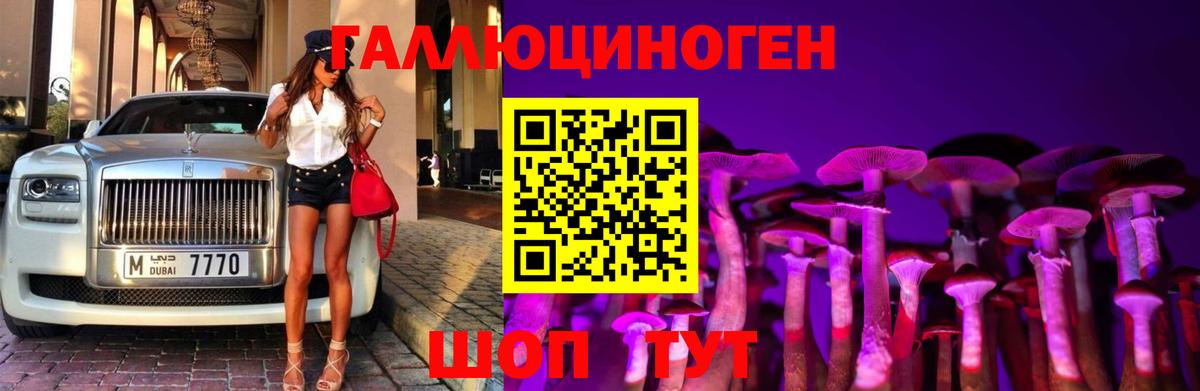 Галлюциногенные грибы прущие грибы  Вход с VPN  Кулебаки 